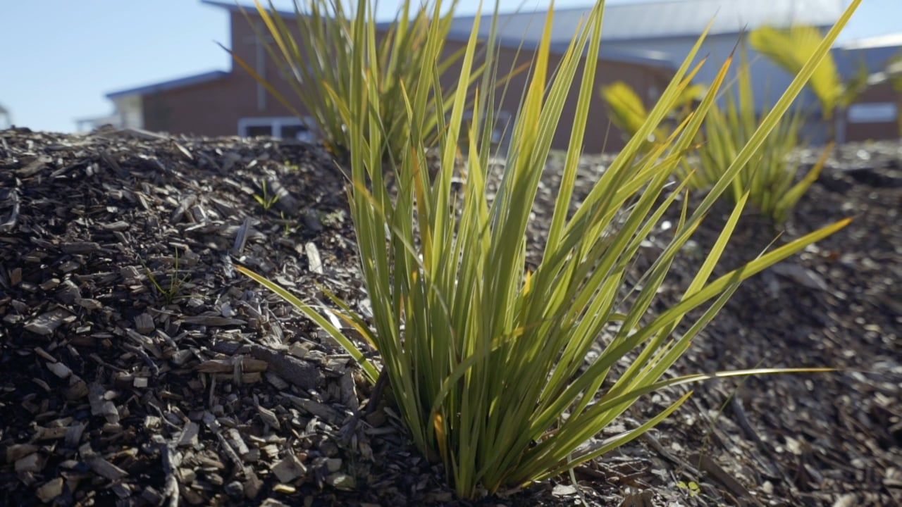 Campion College Construction video