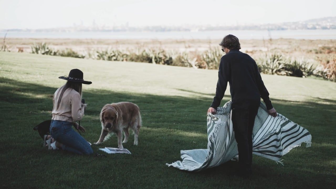 Te Atatu Peninsula Lifestyle video