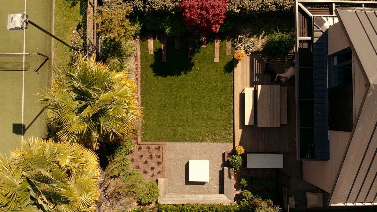 Cindy’s Experience: Transforming a dog damaged lawn into an oasis 