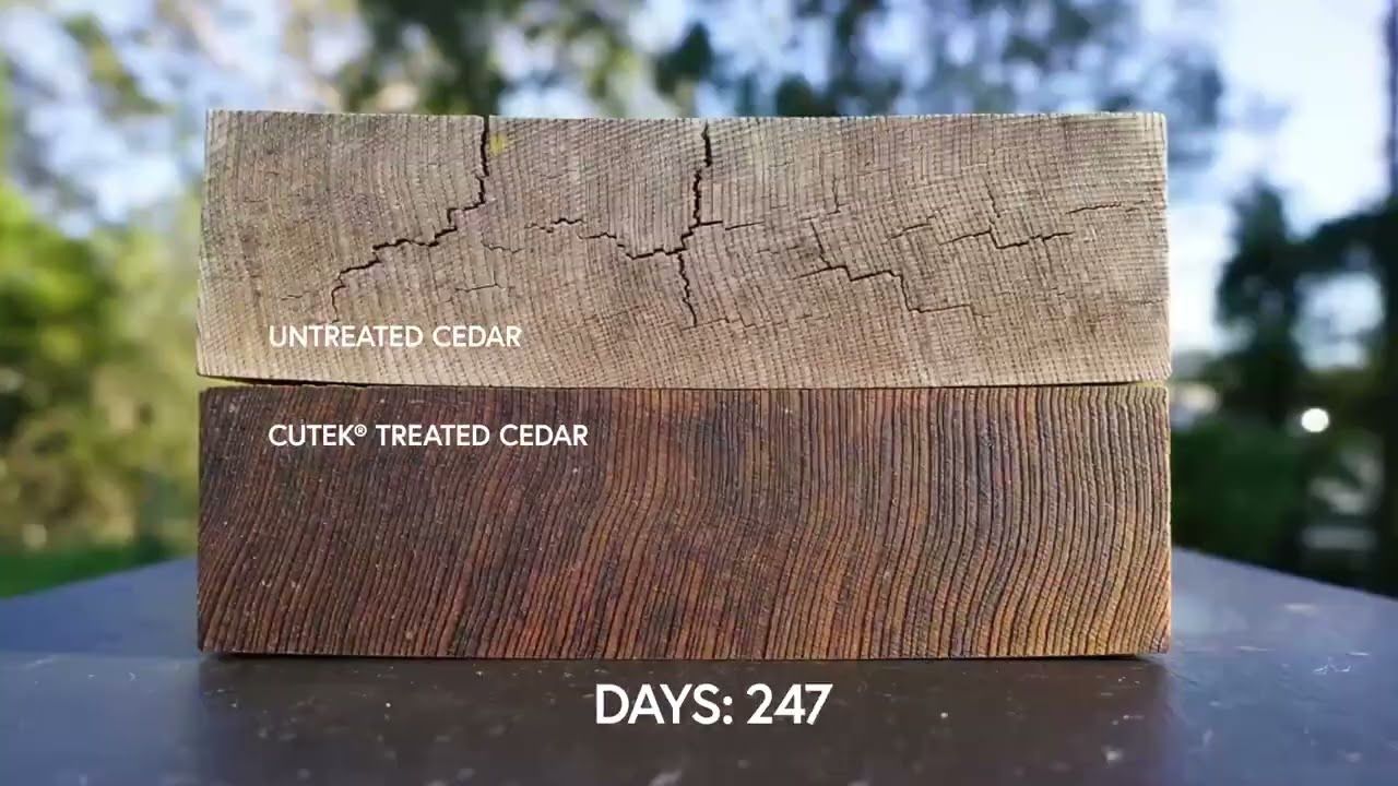 Cedar Treated with CUTEK® Extreme CD50 Timelapse