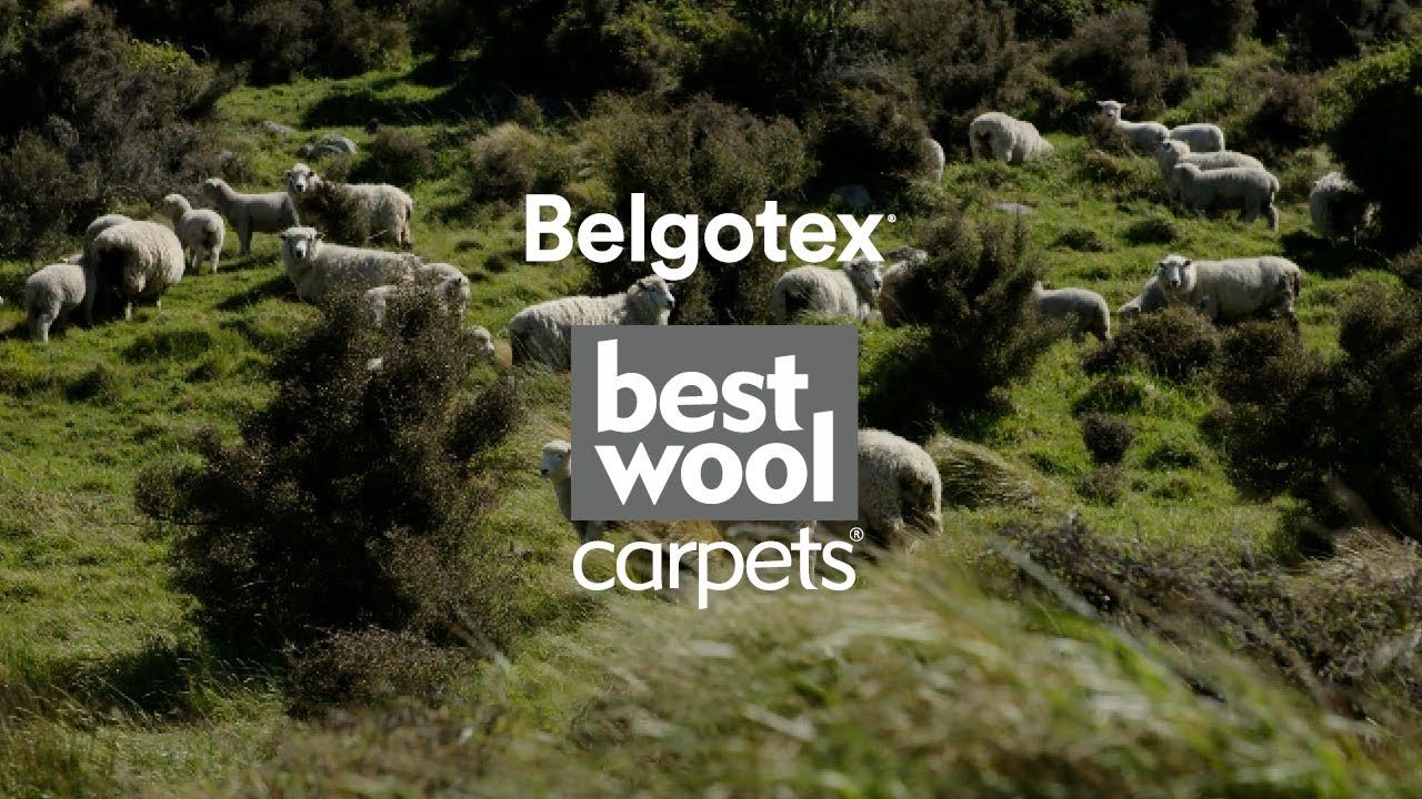 Best Wool Seaview Belgotex