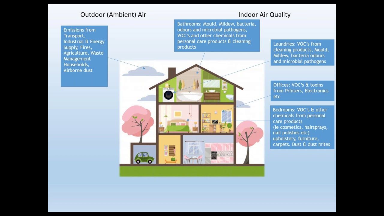 Wellness & Interior Air Quality