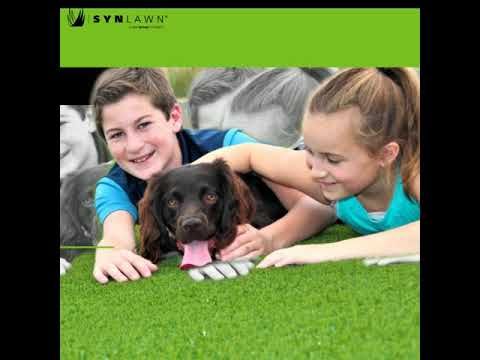 Solve Your Problems With Synlawn From GameOn Turf