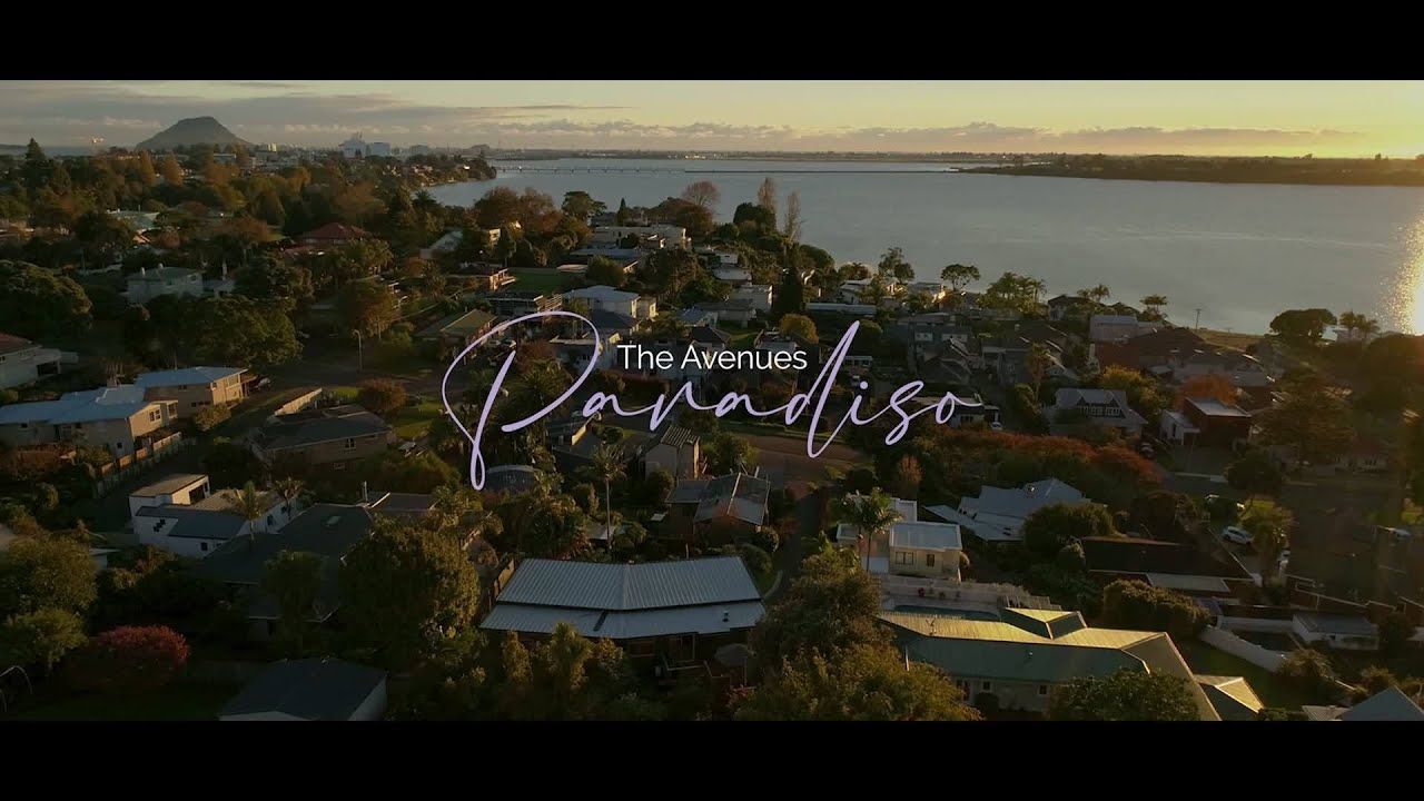 Open2view NZ - ID# 535696 - 38 Harvey Street