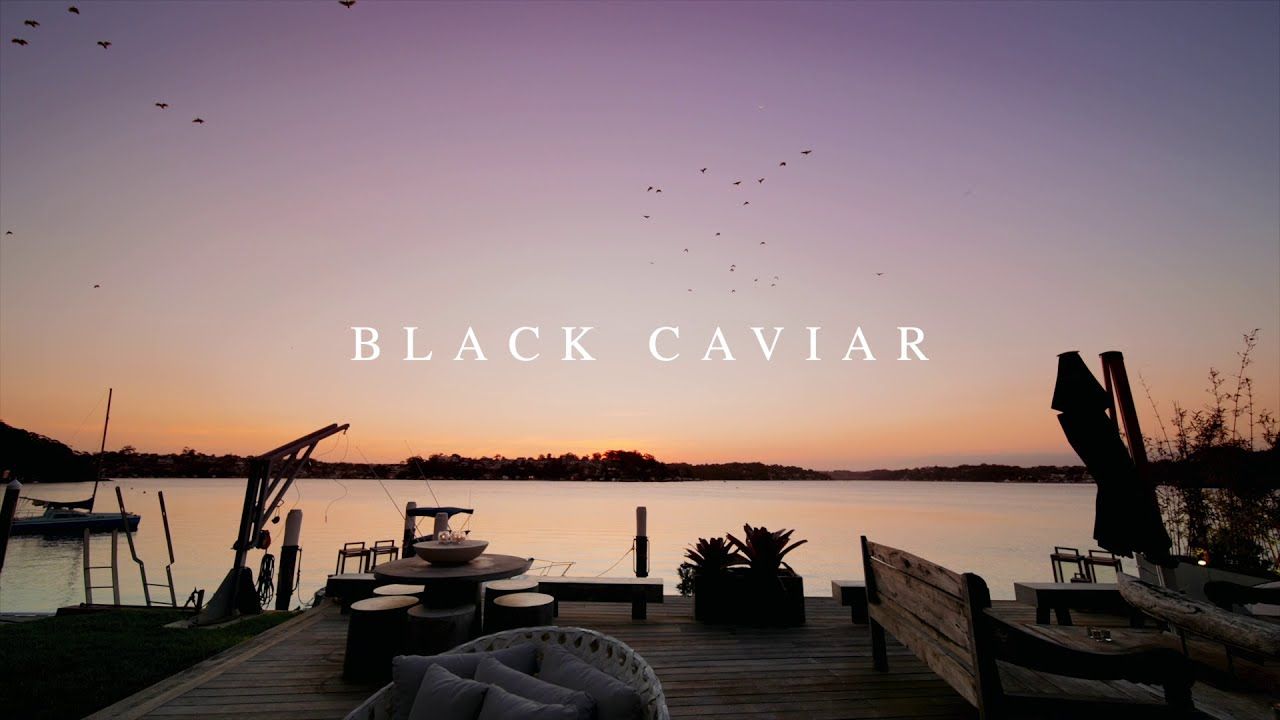 'Black Caviar' 139a Stuart Street, Blakehurst
