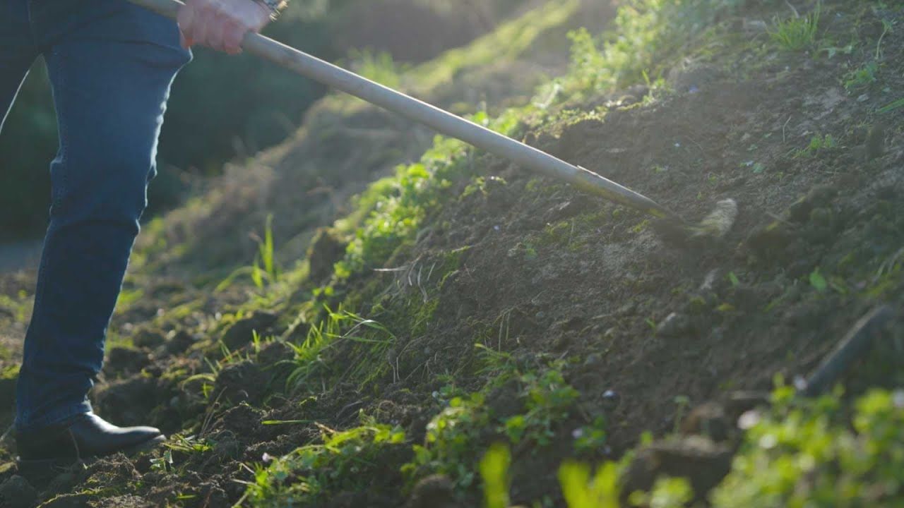 3: Maximising Weedmat Success: Planting Strategies & Maintenance Tips!