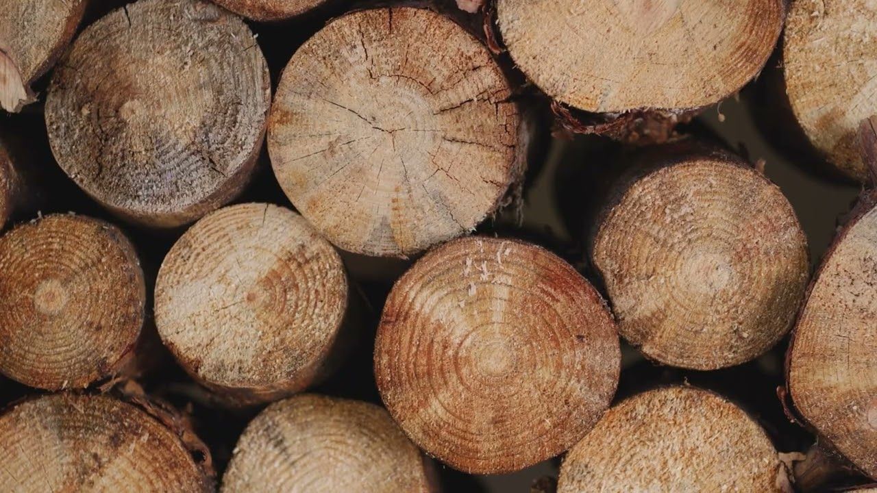 RK Timbers Sustainability