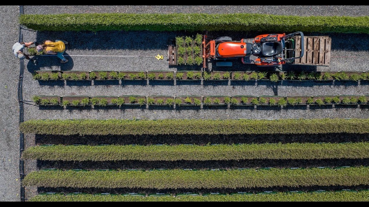 Twining Valley Nurseries Fly-over