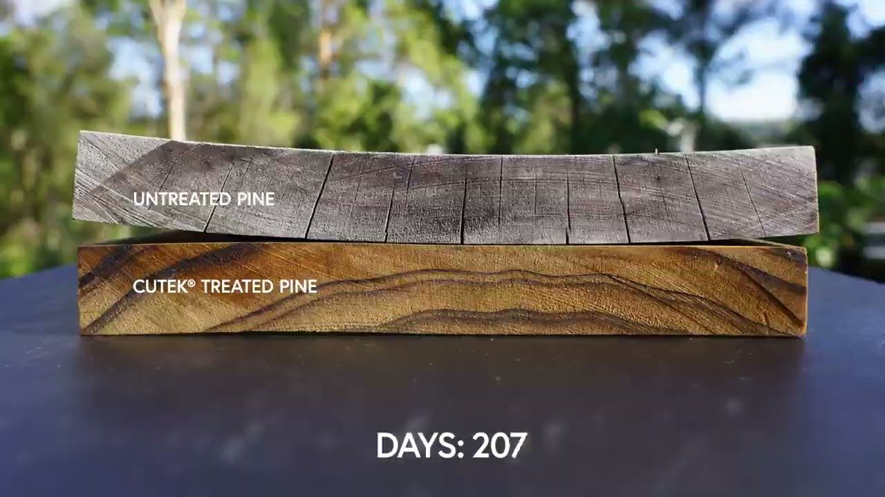 CUTEK® Pine Timelapse