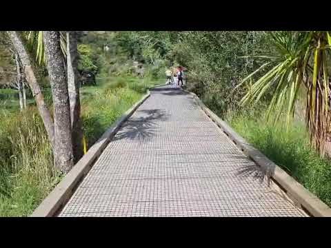 Te Waihou Walkway (Blue Spring)