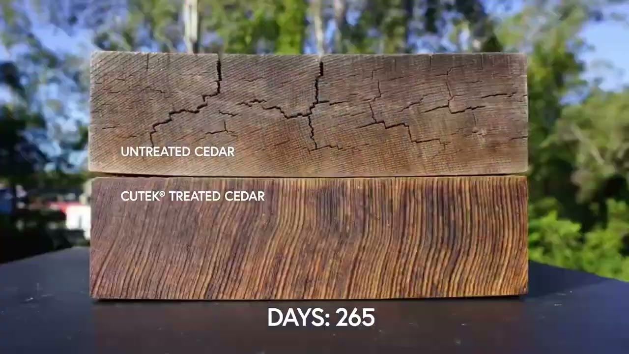 CUTEK® Cedar Timelapse