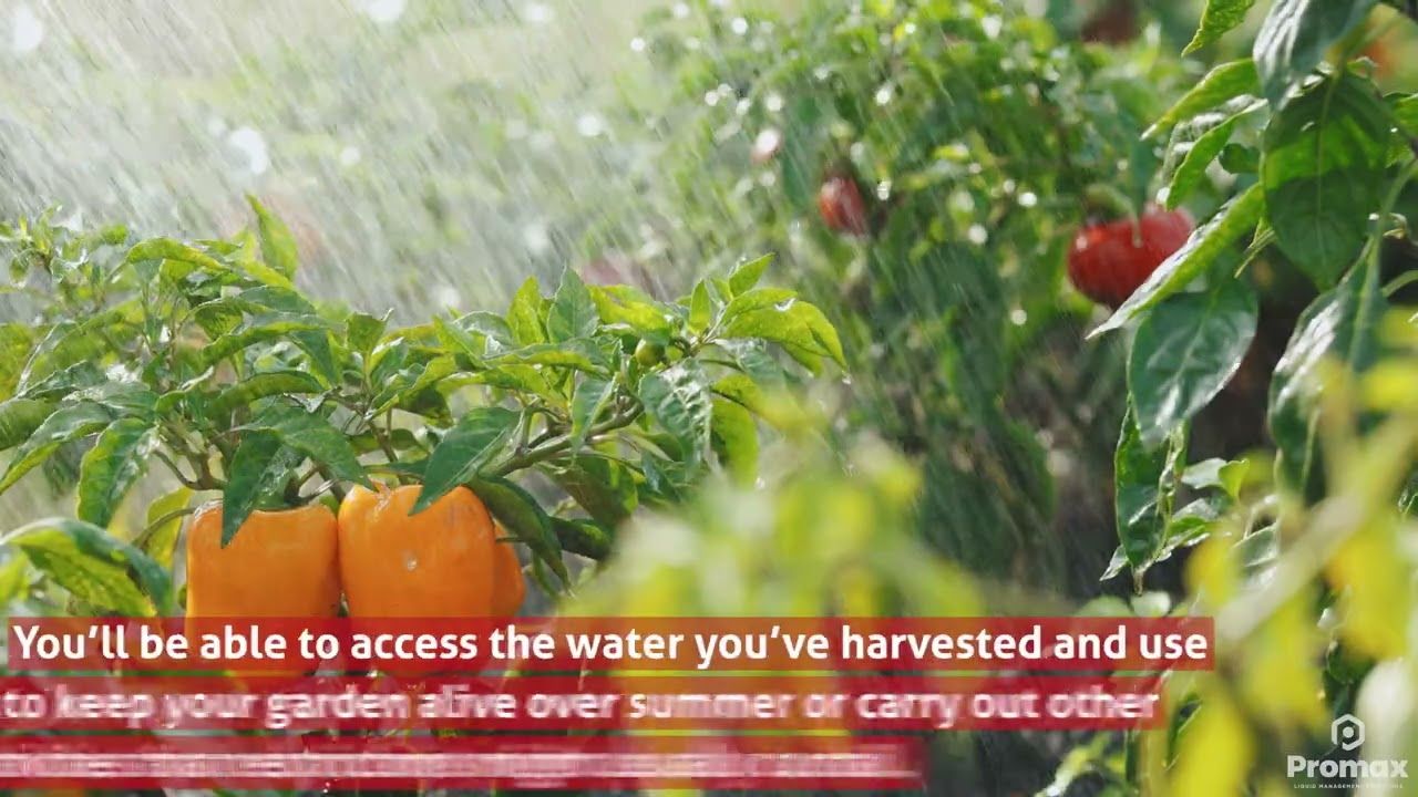 Why Rain Harvesting Is Important