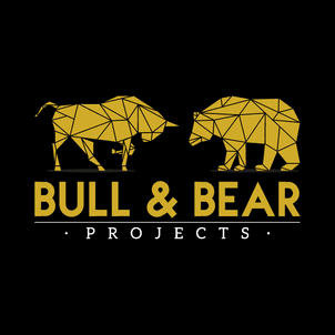 Bull & Bear Projects professional logo