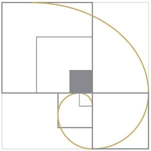 Perfect Square Design professional logo