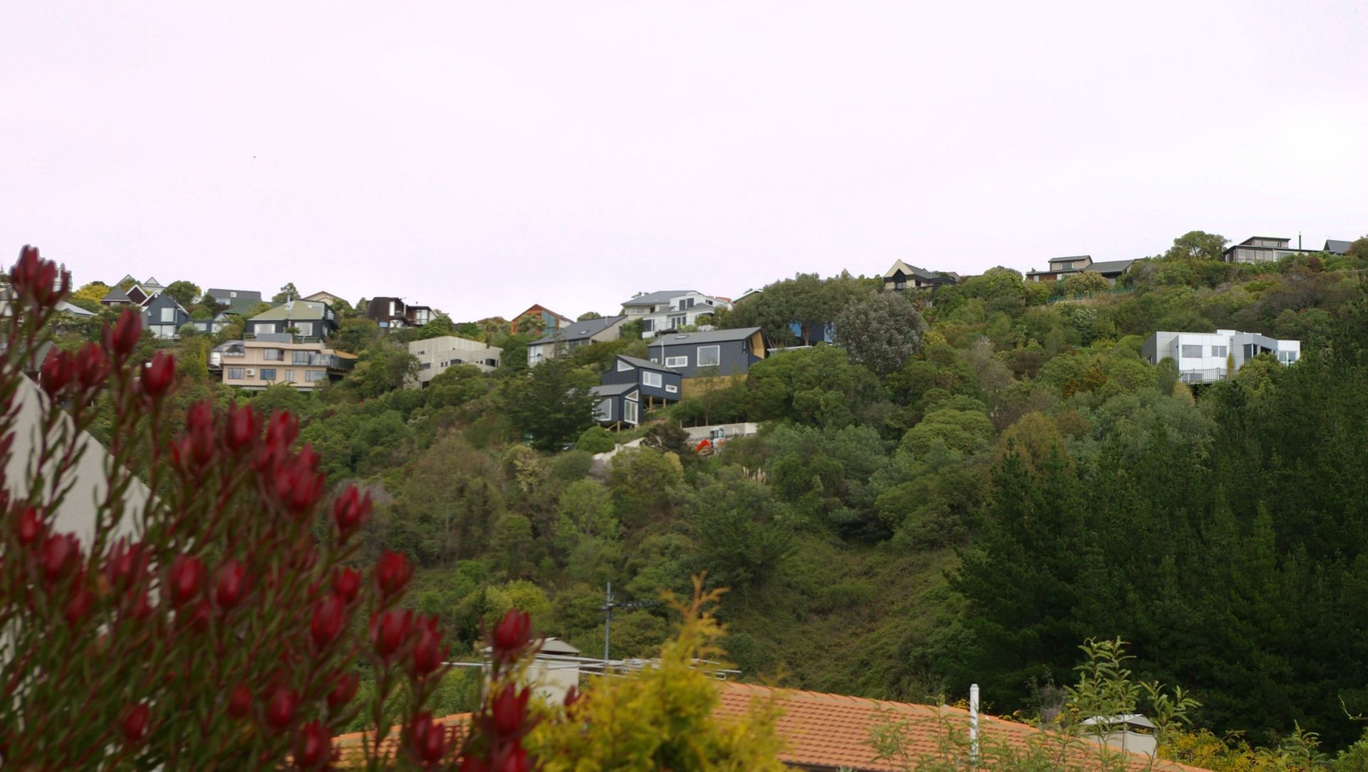 The Tree Pods House banner