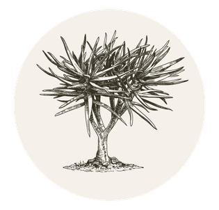 Ben Kaye Garden Design