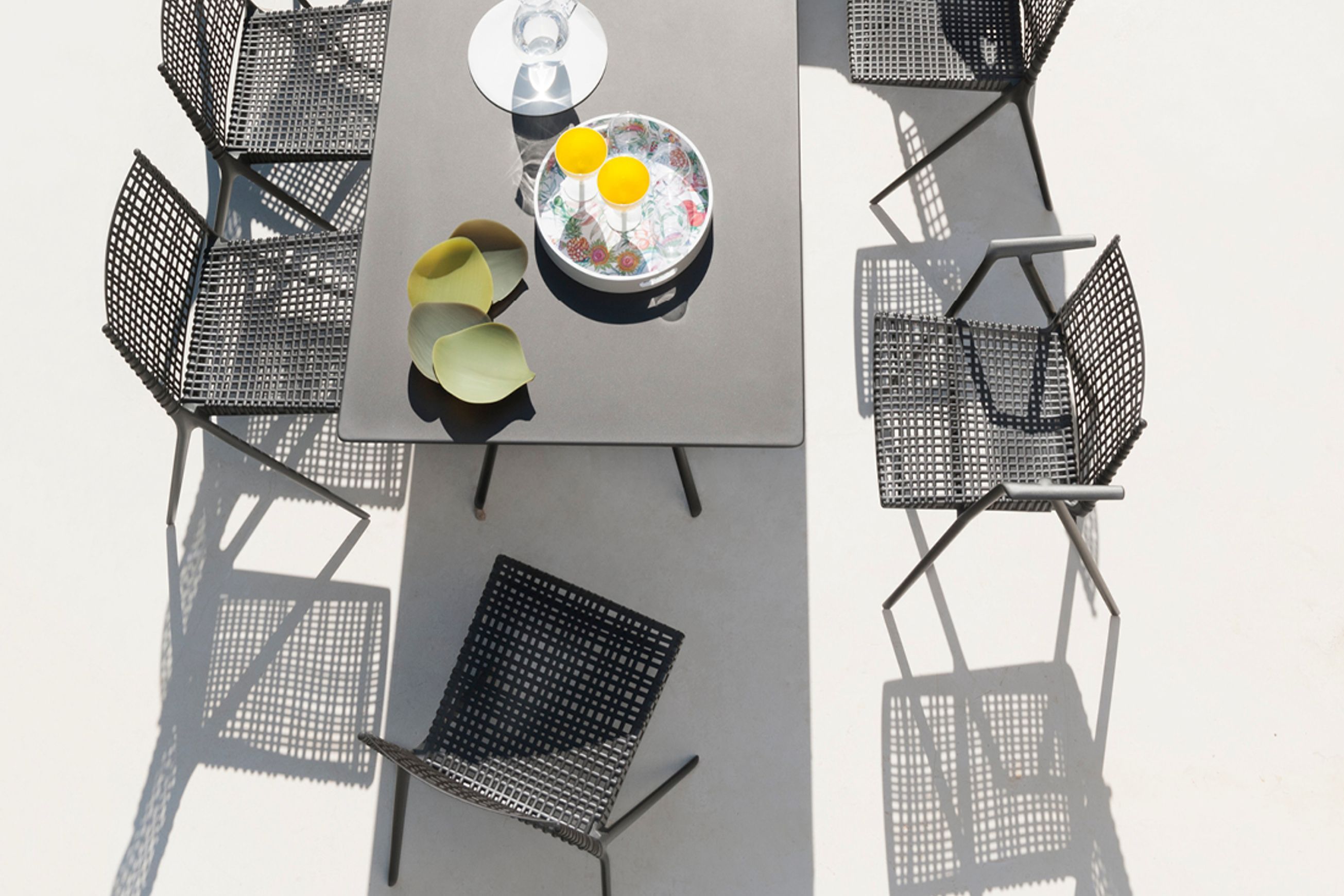 Branch Chair by Tribu