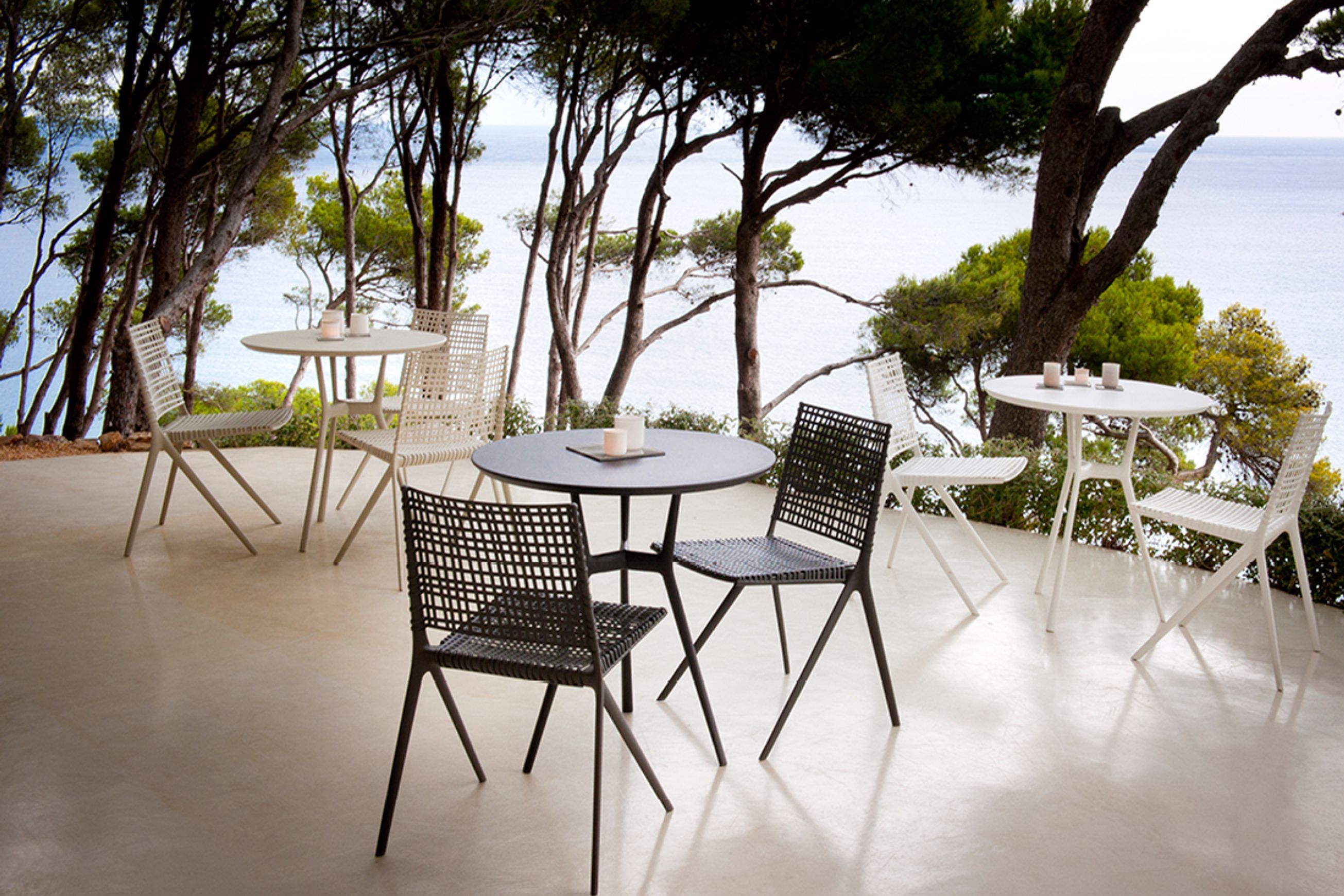 Branch Chair by Tribu
