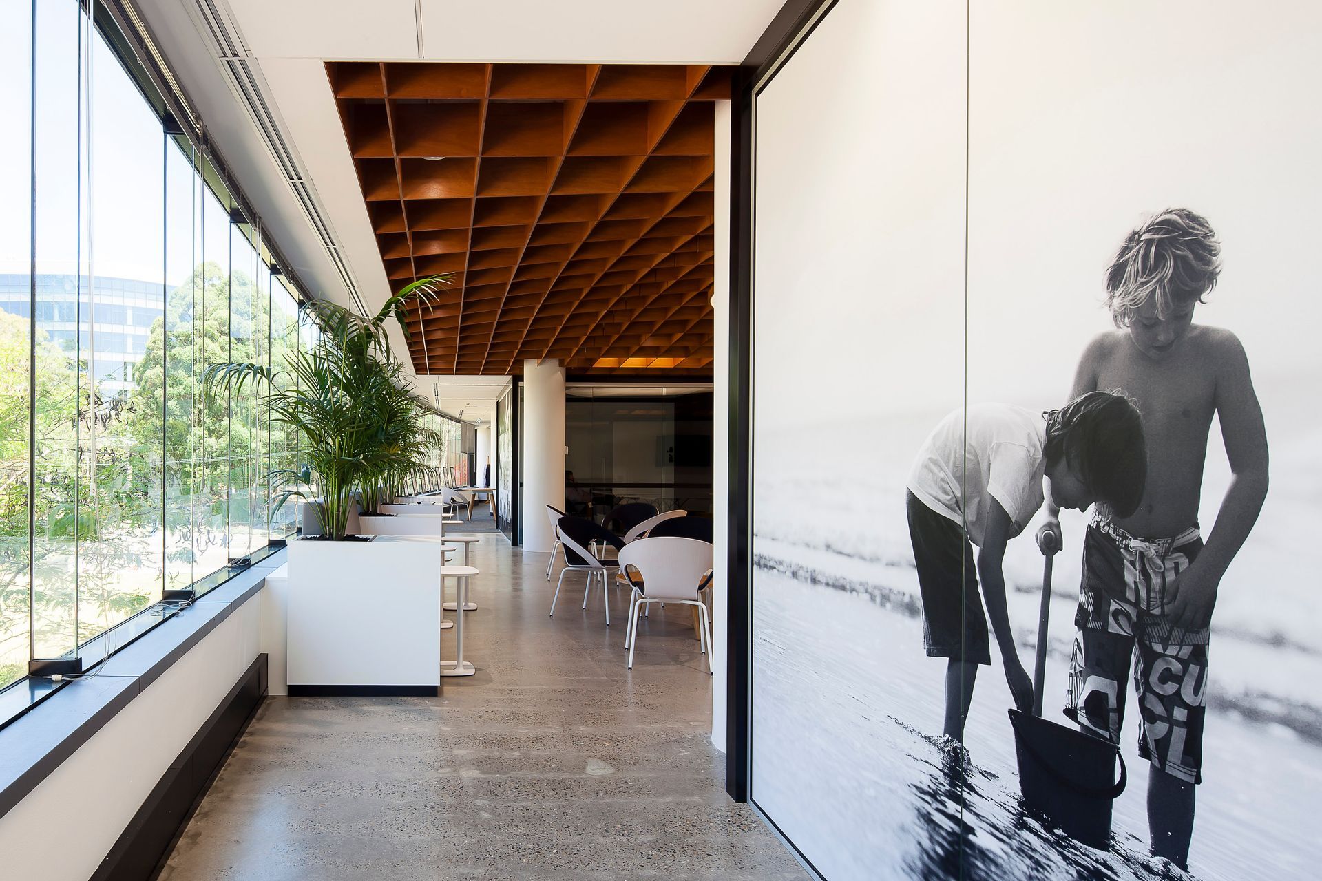 Fisher & Paykel Sydney HQ