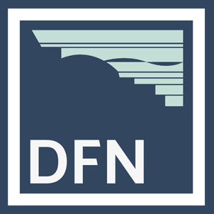 DFN Plaster Products company logo