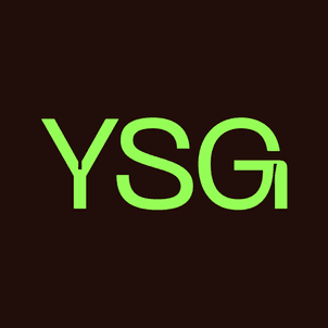 YSG Studio company logo