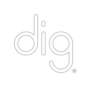 Dig Design professional logo