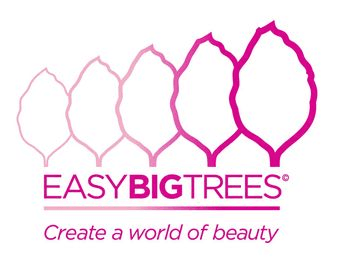 Easy Big Trees professional logo