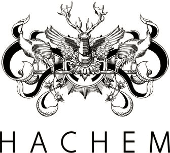 Hachem company logo