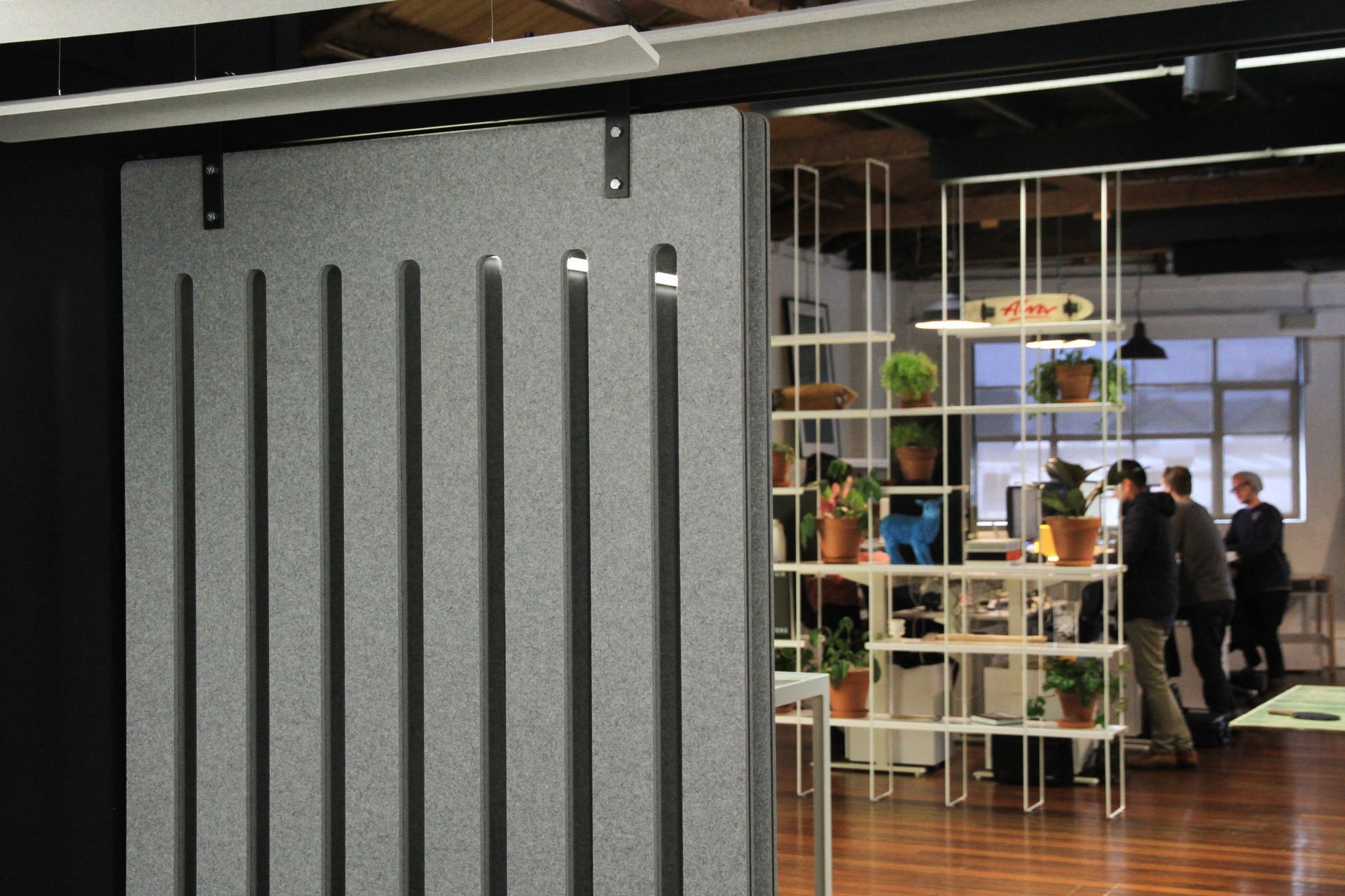 A Lively Space for Work and Play