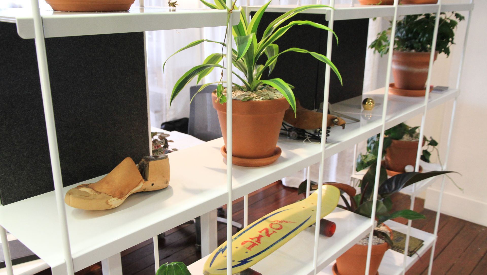 Think and Shift banner