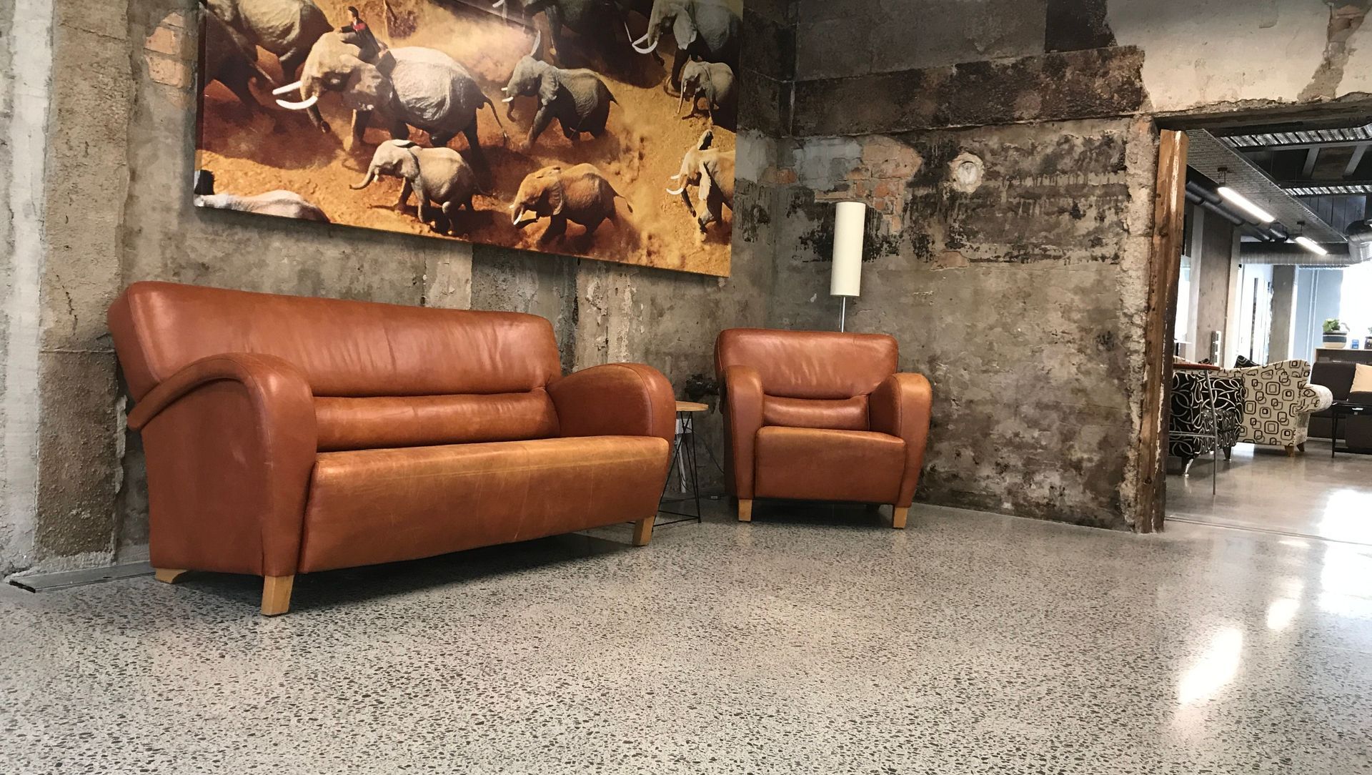 Kiwi Bacon New North Road banner