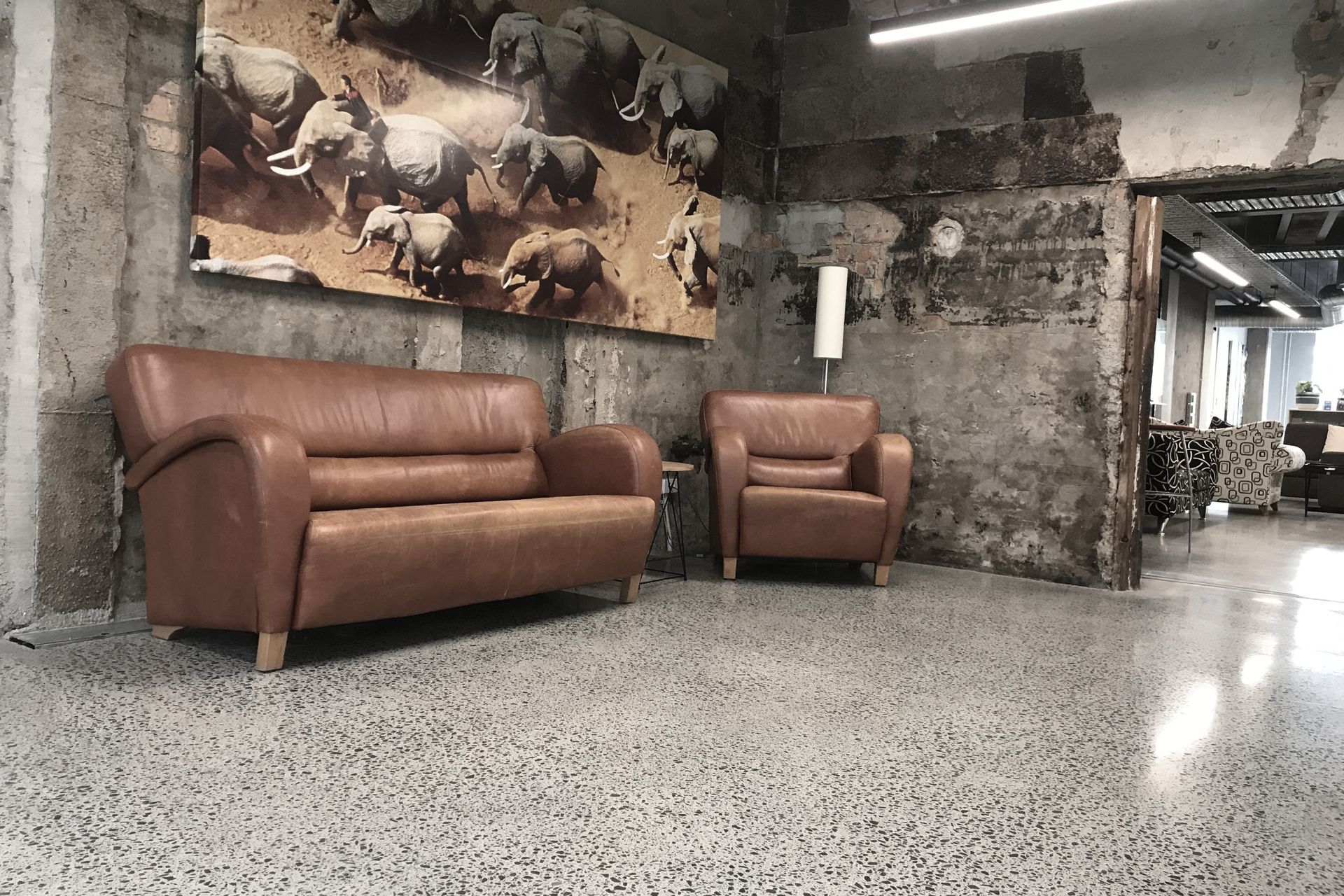 Kiwi Bacon New North Road