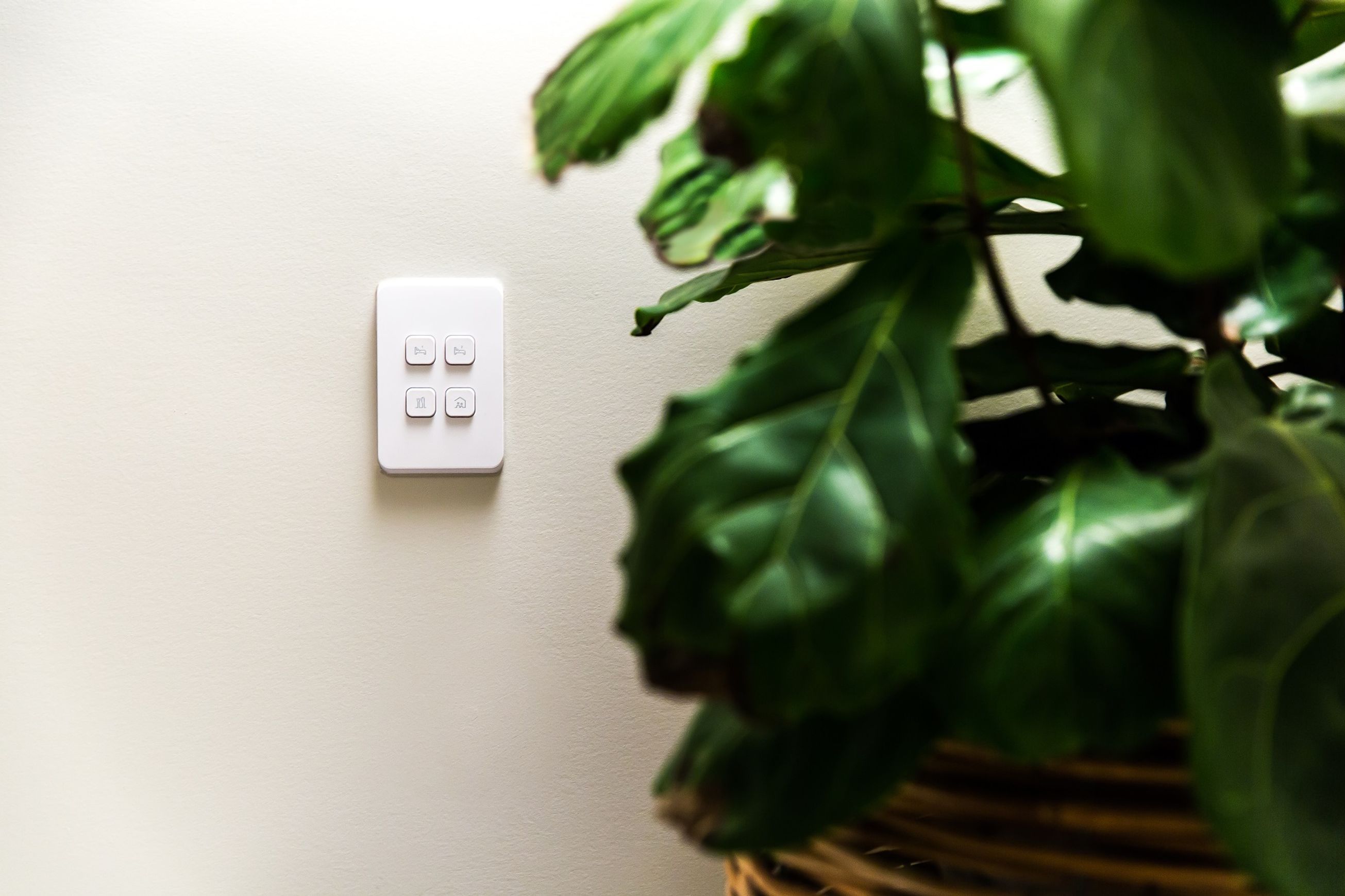 PDL Iconic | Switches & Power points