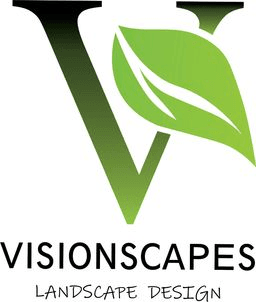 Visionscapes company logo