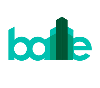 David Baillie Architect professional logo