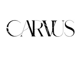 Carvus professional logo