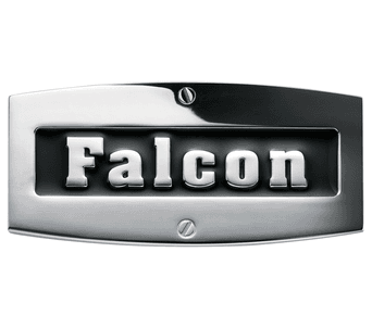 Falcon professional logo