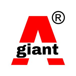 giantA professional logo