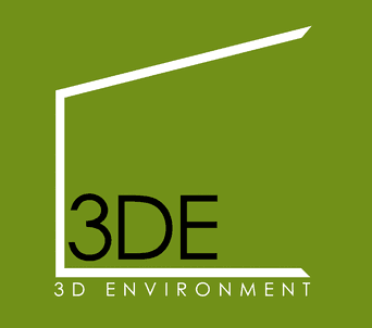 3D Environment professional logo