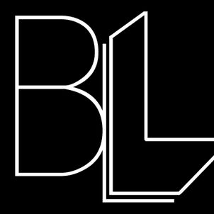 Black Line Concepts professional logo