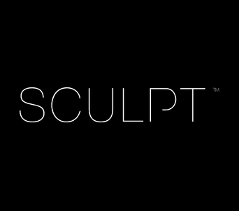 Sculpt Fireplace Collection company logo