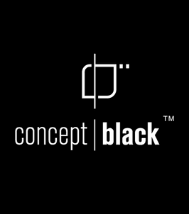 Concept Black professional logo