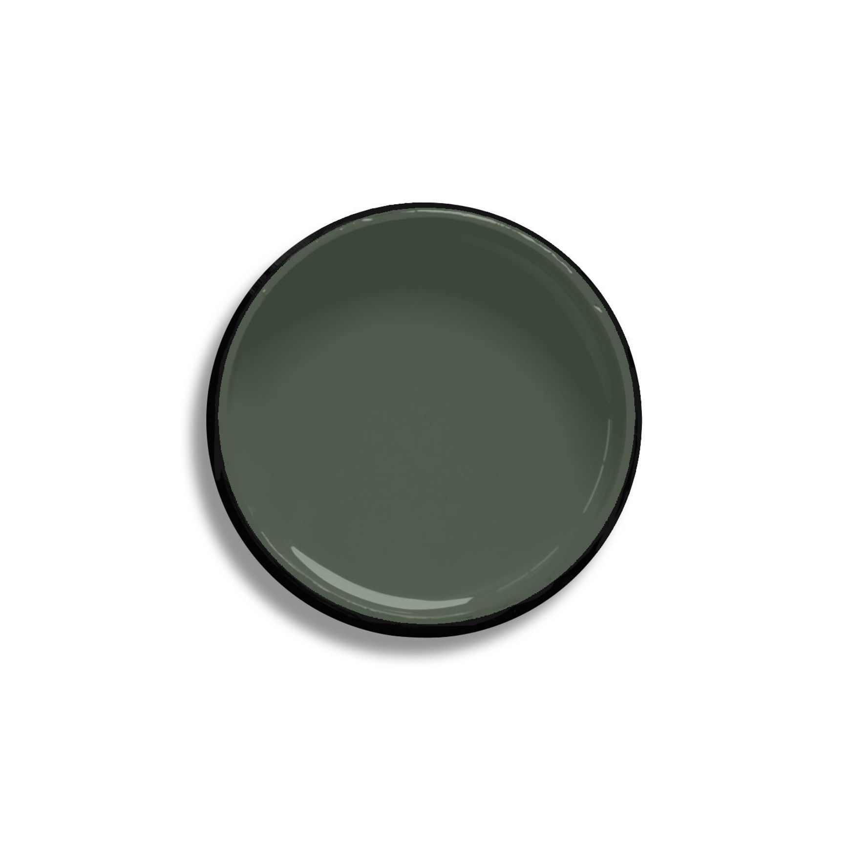 Resene Forest Green