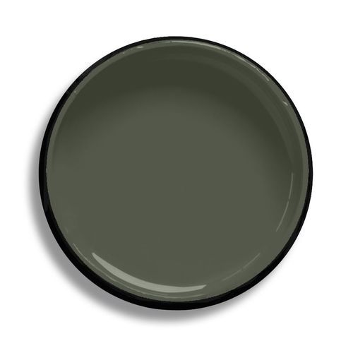 Resene Olive Green