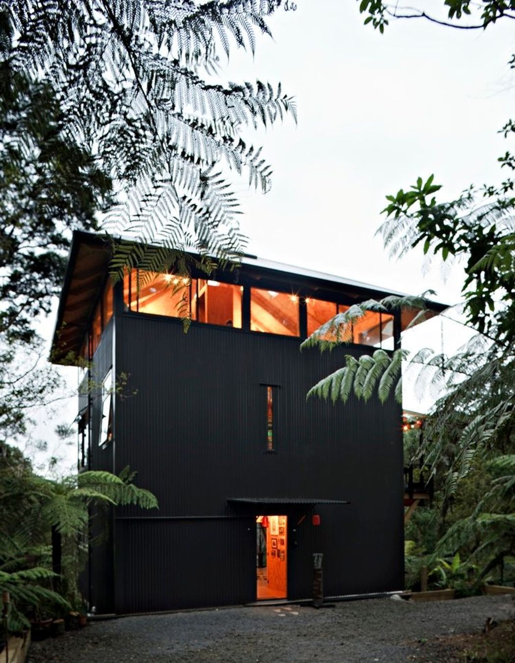 Titirangi House in the Trees