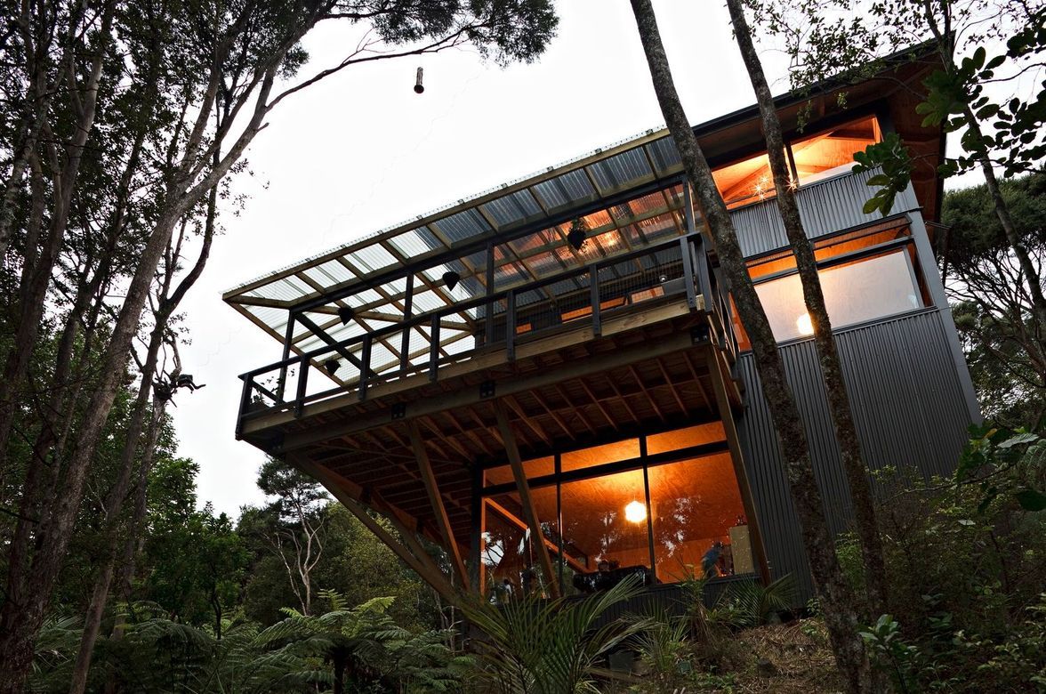 Titirangi House in the Trees