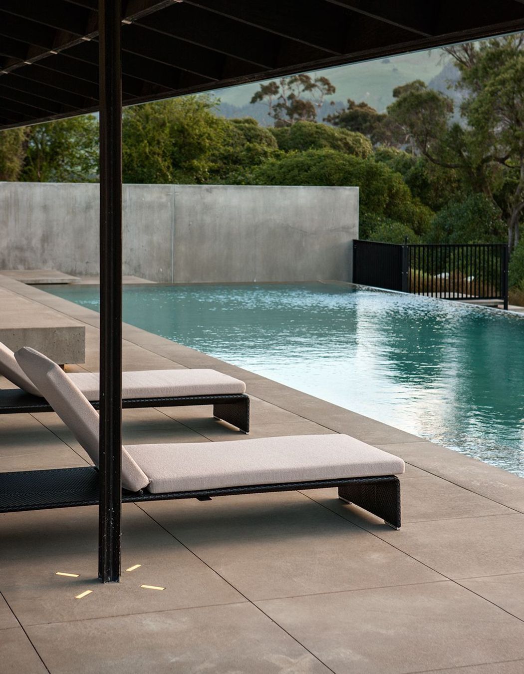 Annandale Olive Grove