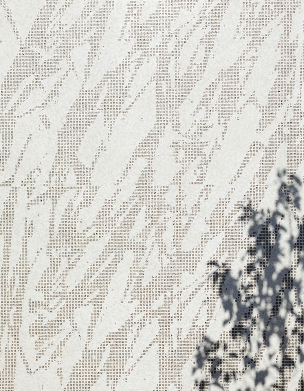 Aorangi Specialist Centre