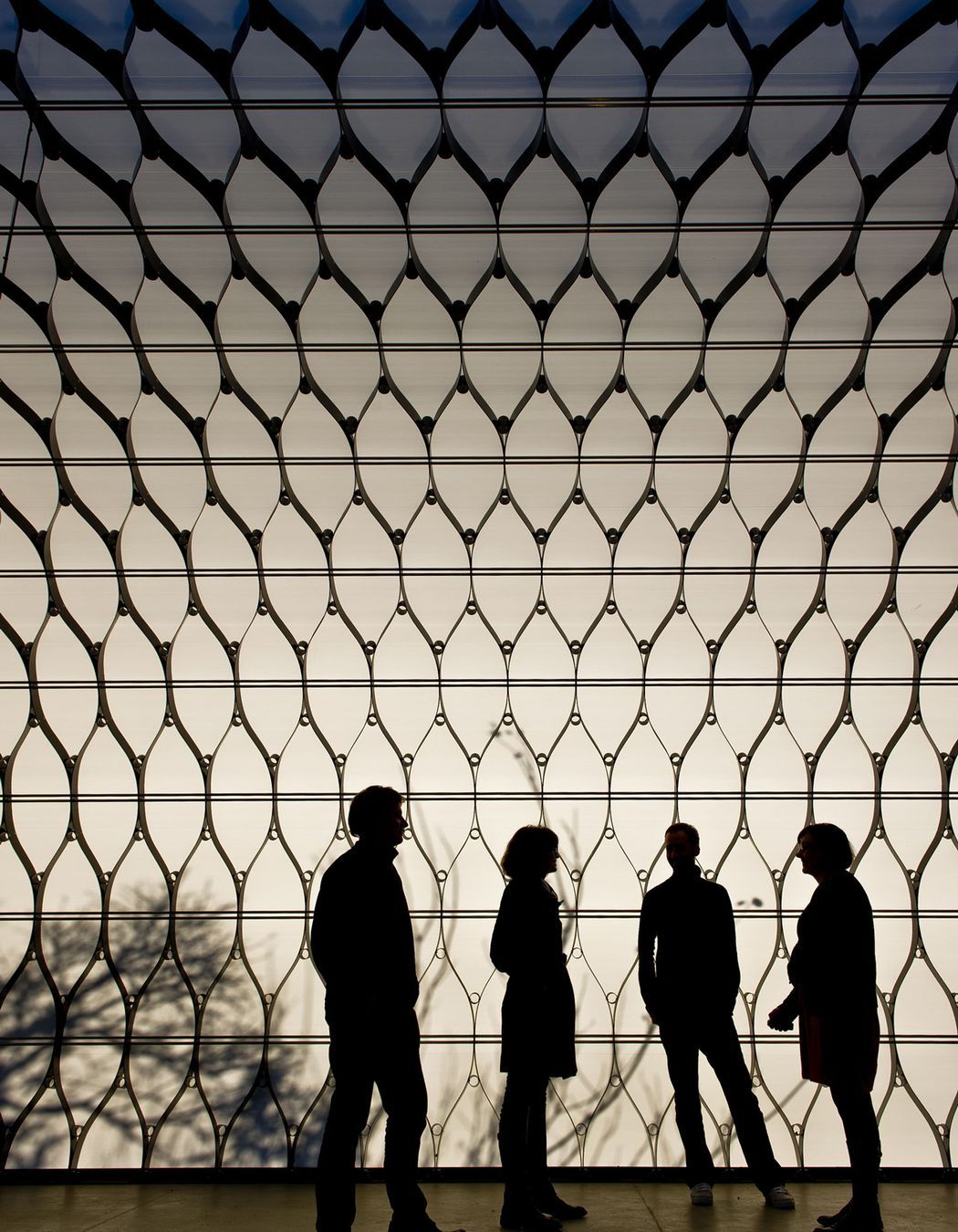 The Wellington Zoo Hub