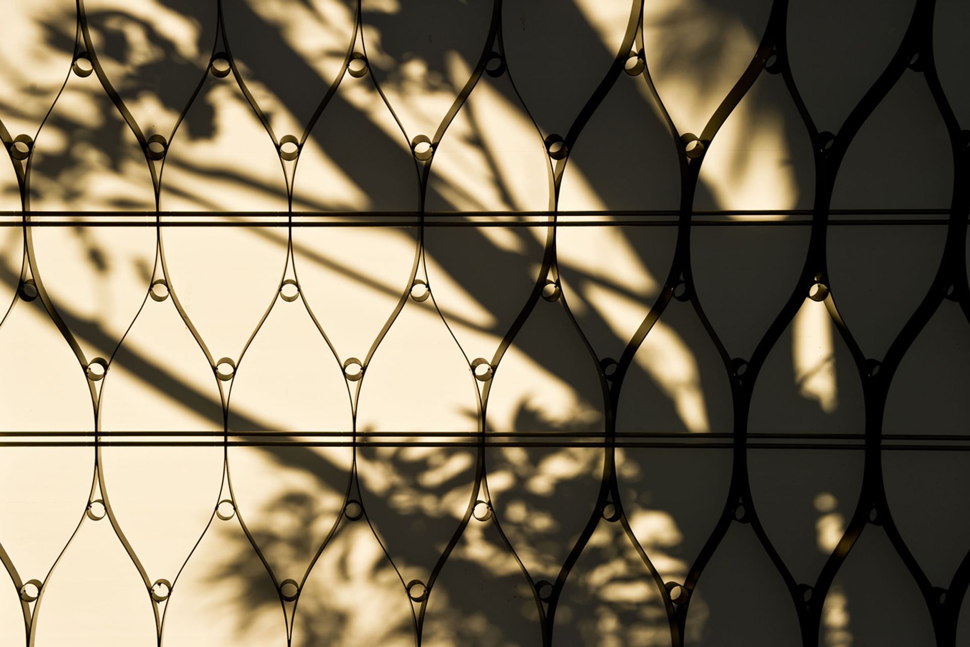 The Wellington Zoo Hub